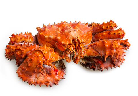 Колючий краб целый мороженный